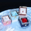 rose gift box opening to reveal the projection necklace