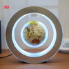 Round LED World Map Floating Globe