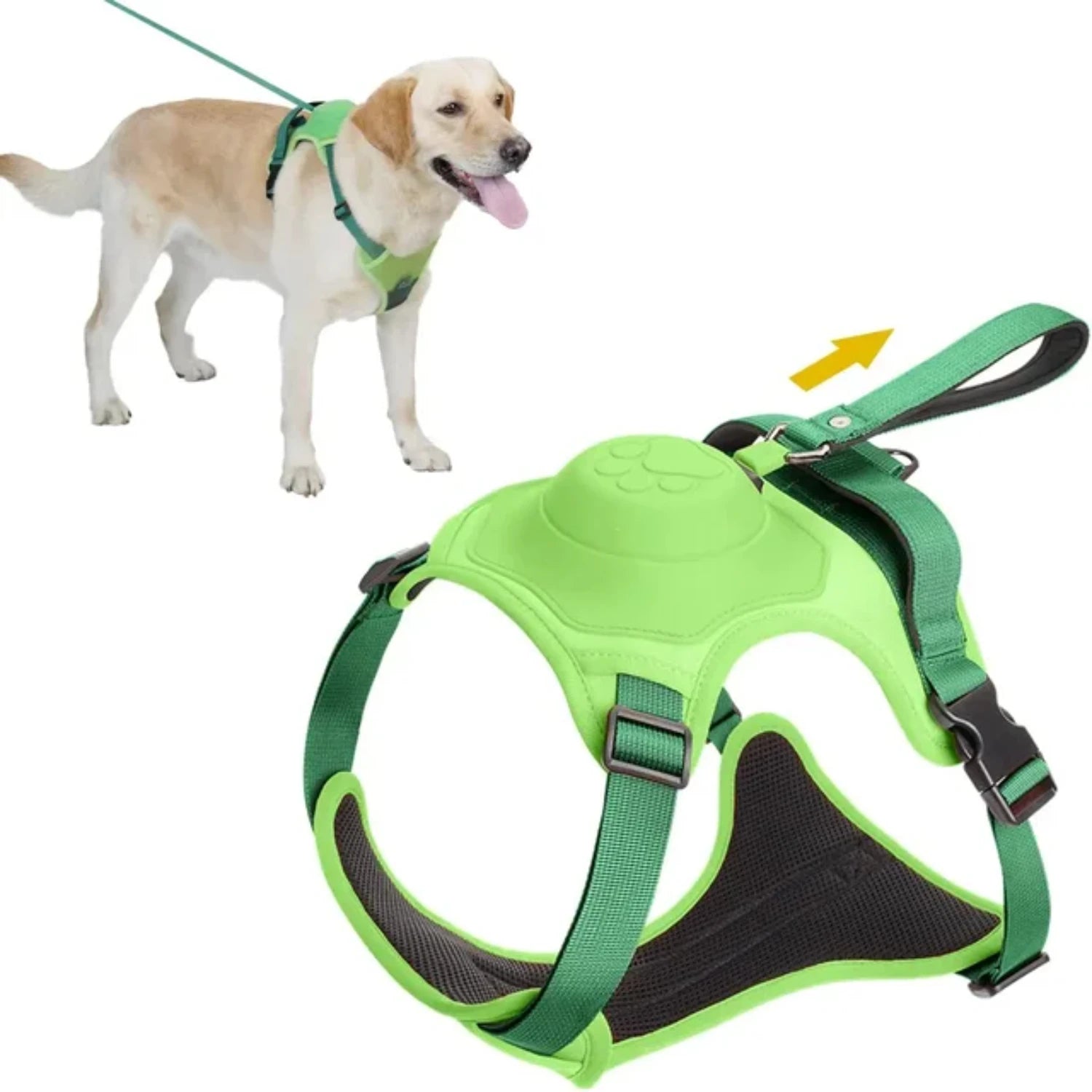AllinOne dog green harness
