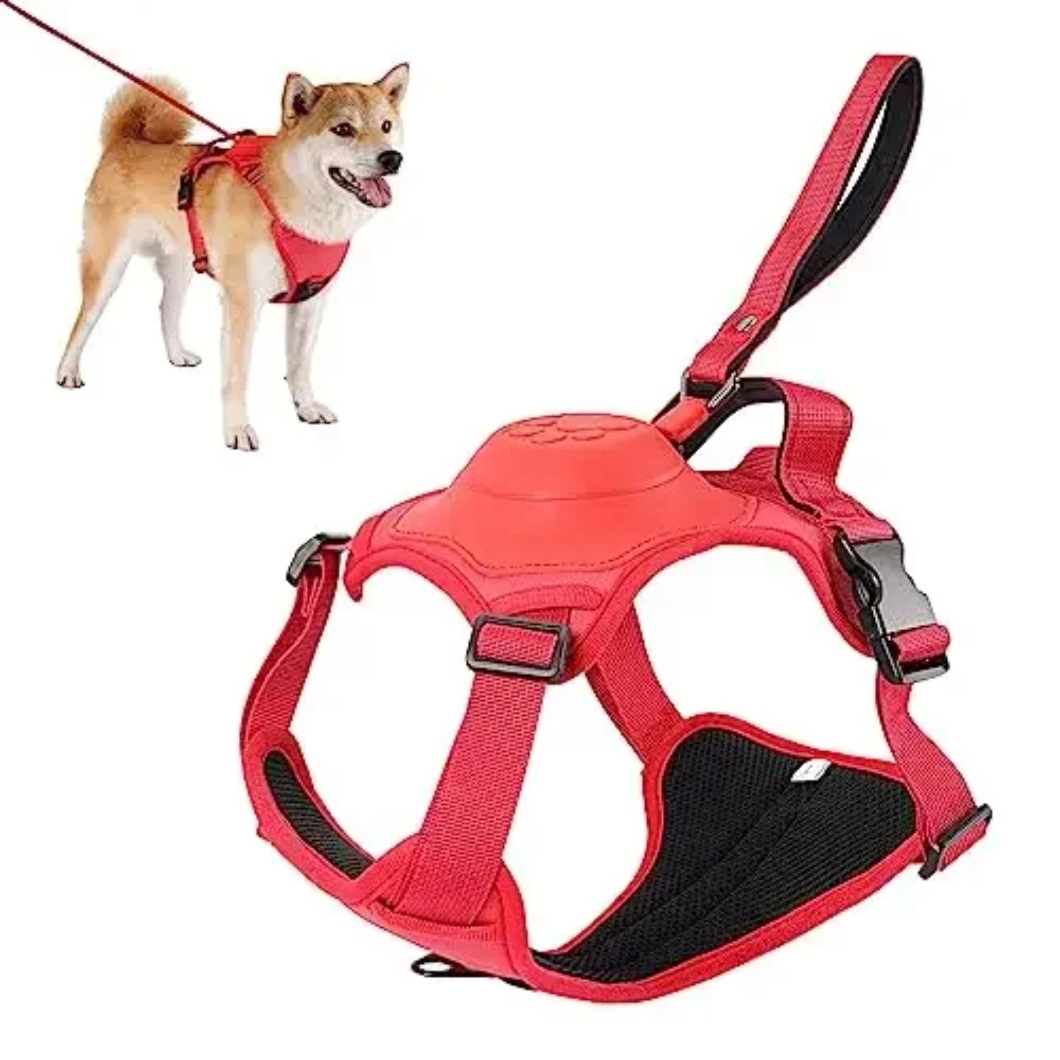 AllinOne dog red harness and leash set for tangle-free walks`