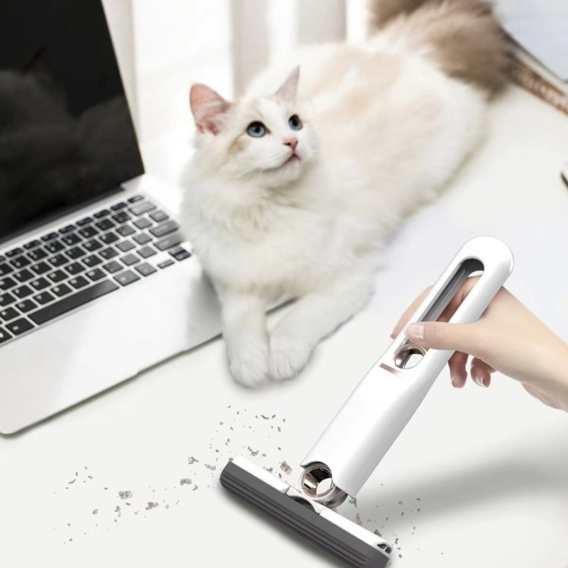 Cat sitting on a desk next to a laptop with a hand holding a window cleaning tool.