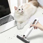 Cat sitting on a desk next to a laptop with a hand holding a window cleaning tool.