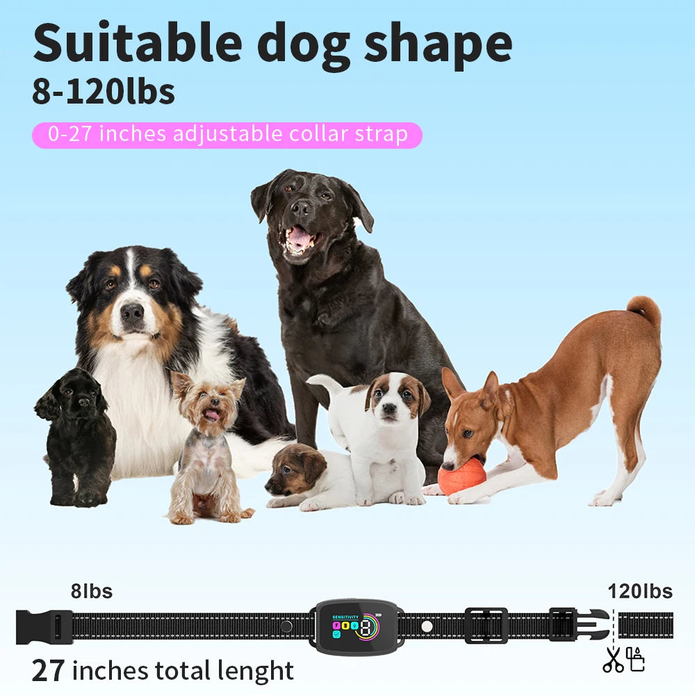 Dog collar with adjustable strap displayed in front of various dog breeds on a light blue background.