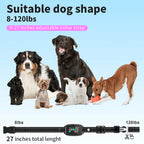 Dog collar with adjustable strap displayed in front of various dog breeds on a light blue background.