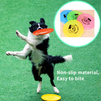 Dog playing with a frisbee on a green field, with inset showing various colorful frisbees.