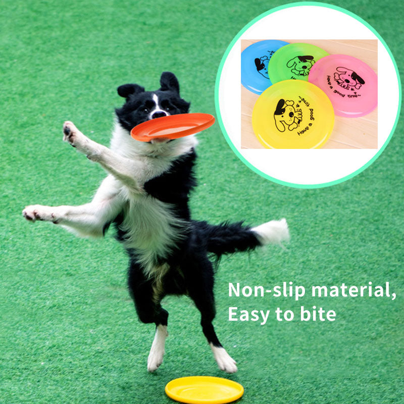 Dog playing with a frisbee on a green field, with inset showing various colorful frisbees.