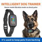 Dog trainer device with digital display on a white background