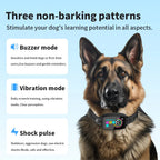 Dog wearing a training collar with three non-barking patterns displayed on a blue background.