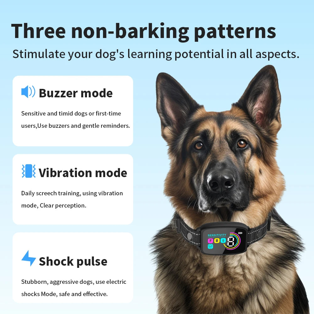 Dog wearing a training collar with three non-barking patterns displayed on a blue background.