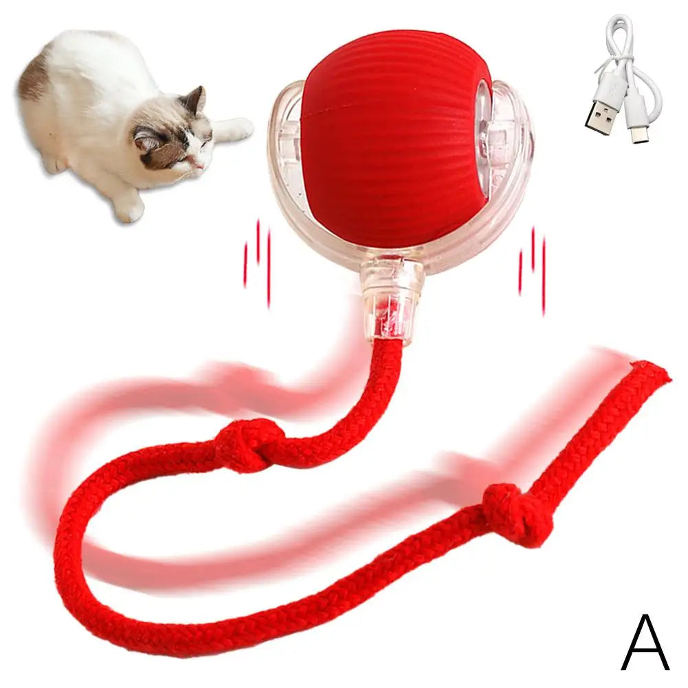 Interactive snake toy shown from various angles and positions
