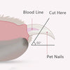 pet nail structre shows the bright-paws-pet-clippers-led cut the Pet nail 