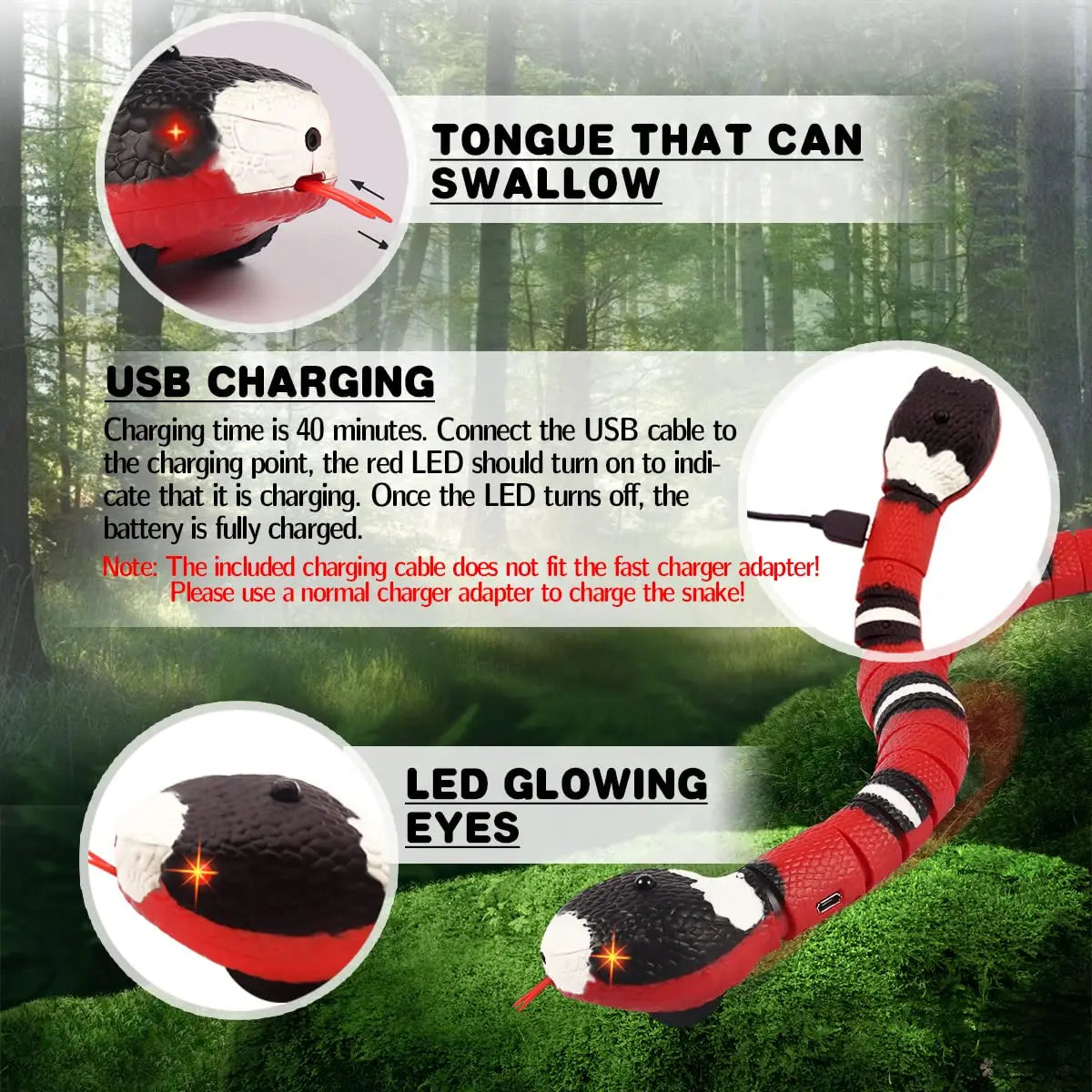 Interactive Snake Toy for Cat