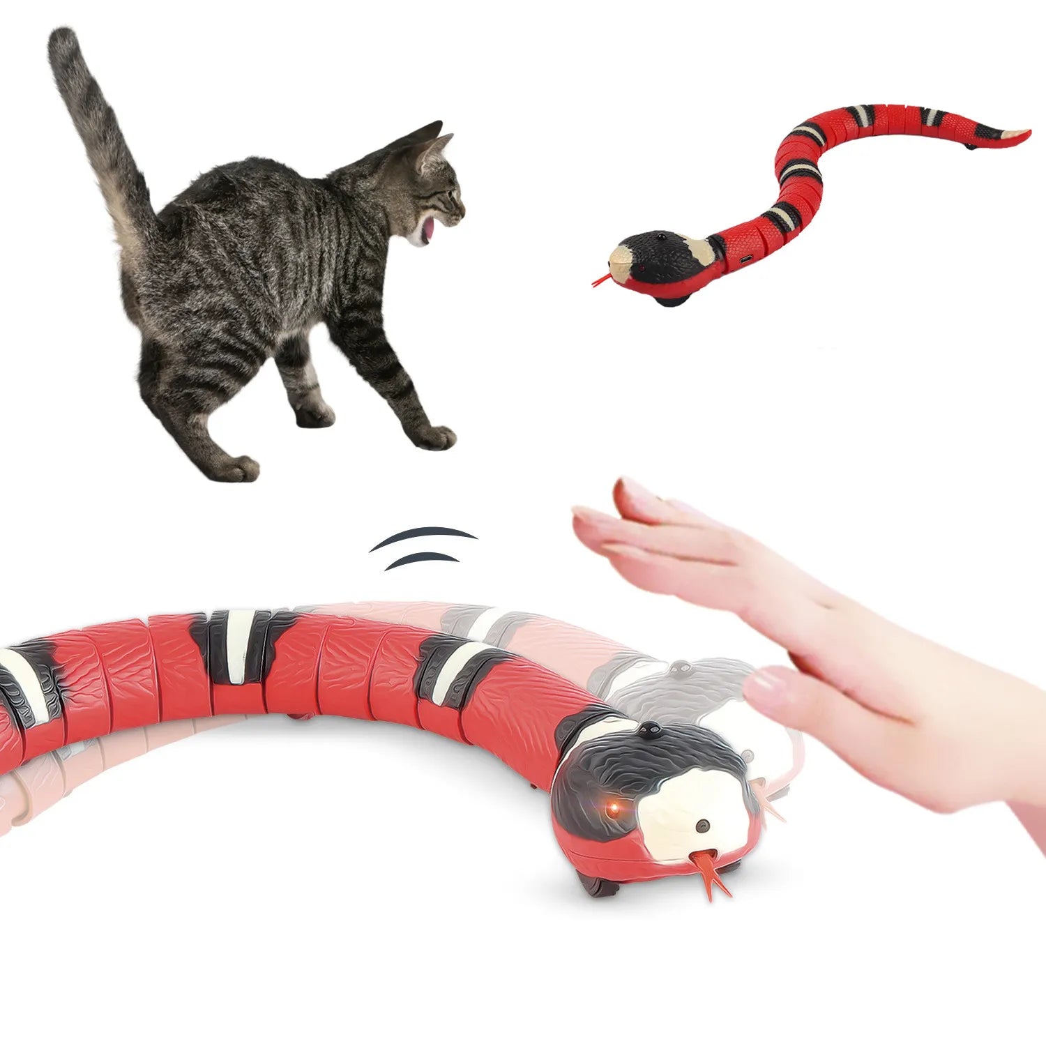 Interactive Snake Toy for Cat