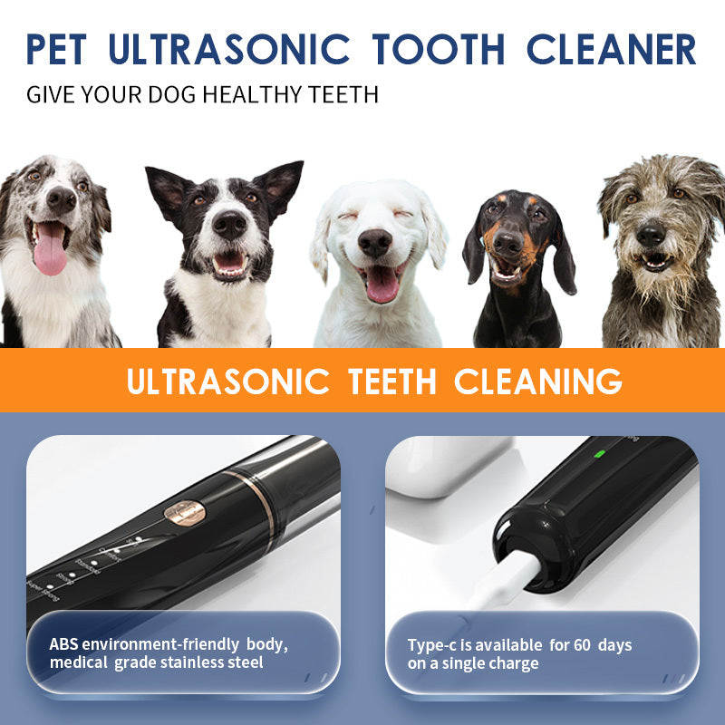 Ultrasonic pet teeth cleaner ultrasonic teeth cleaning 