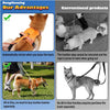 Infographic showing benefits of AllinOne no-tangle leash set