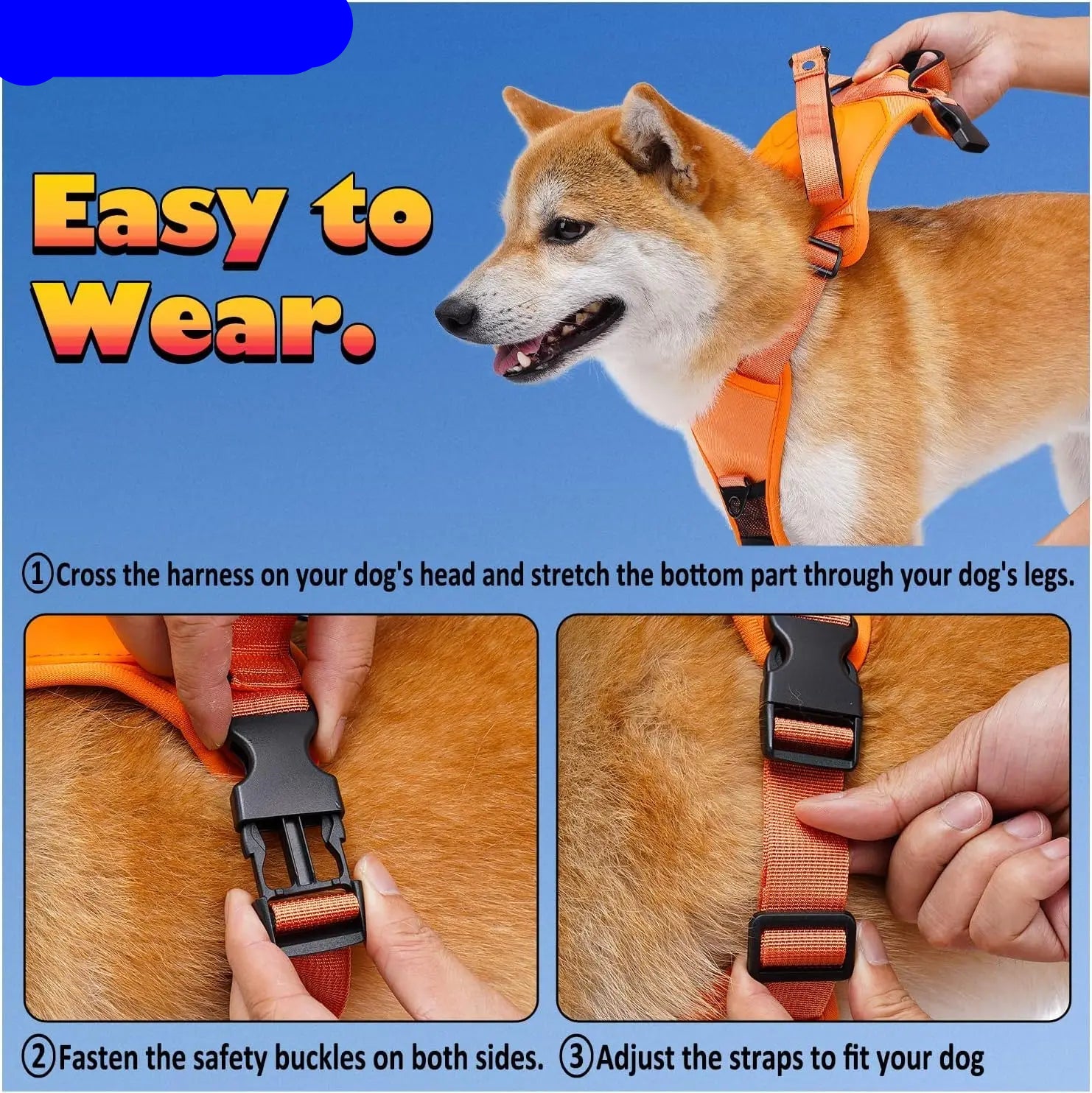 og wearing AllinOne no-pull harness and leash set
