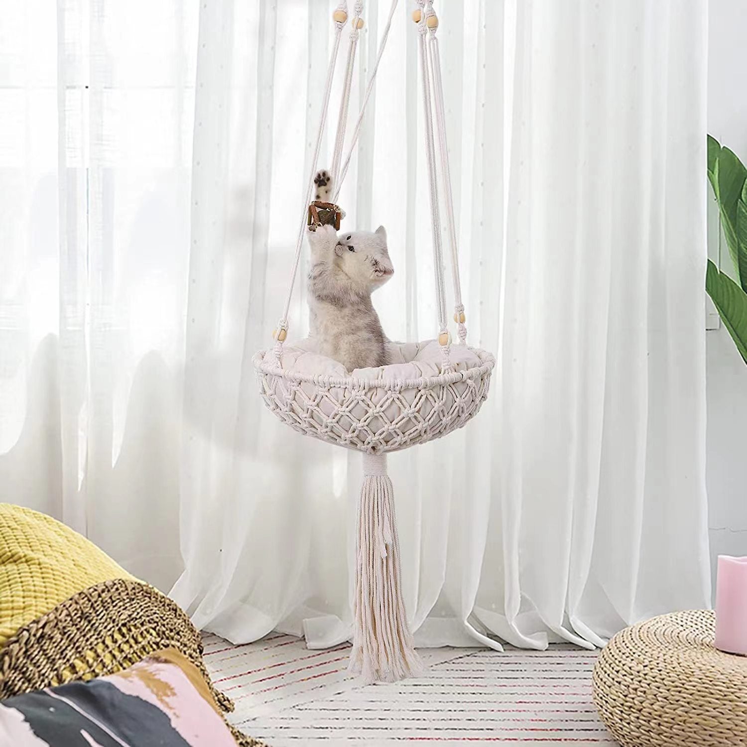 Happy Cat Curled Up in Cozy Nest Hammock  