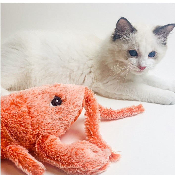 Happy Cat playing with Moving Lobster Toy