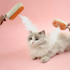 Happy Cat Pouncing on Moving Lobster Toy 