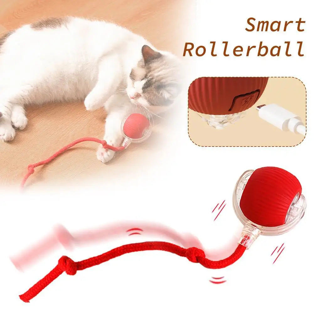 Cat batting and chasing the Chirpy Cat Play Ba ll`