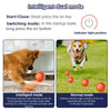 Dog Catching Buddy Bouncer Ball in Slow Motion - Fun Playtime!  