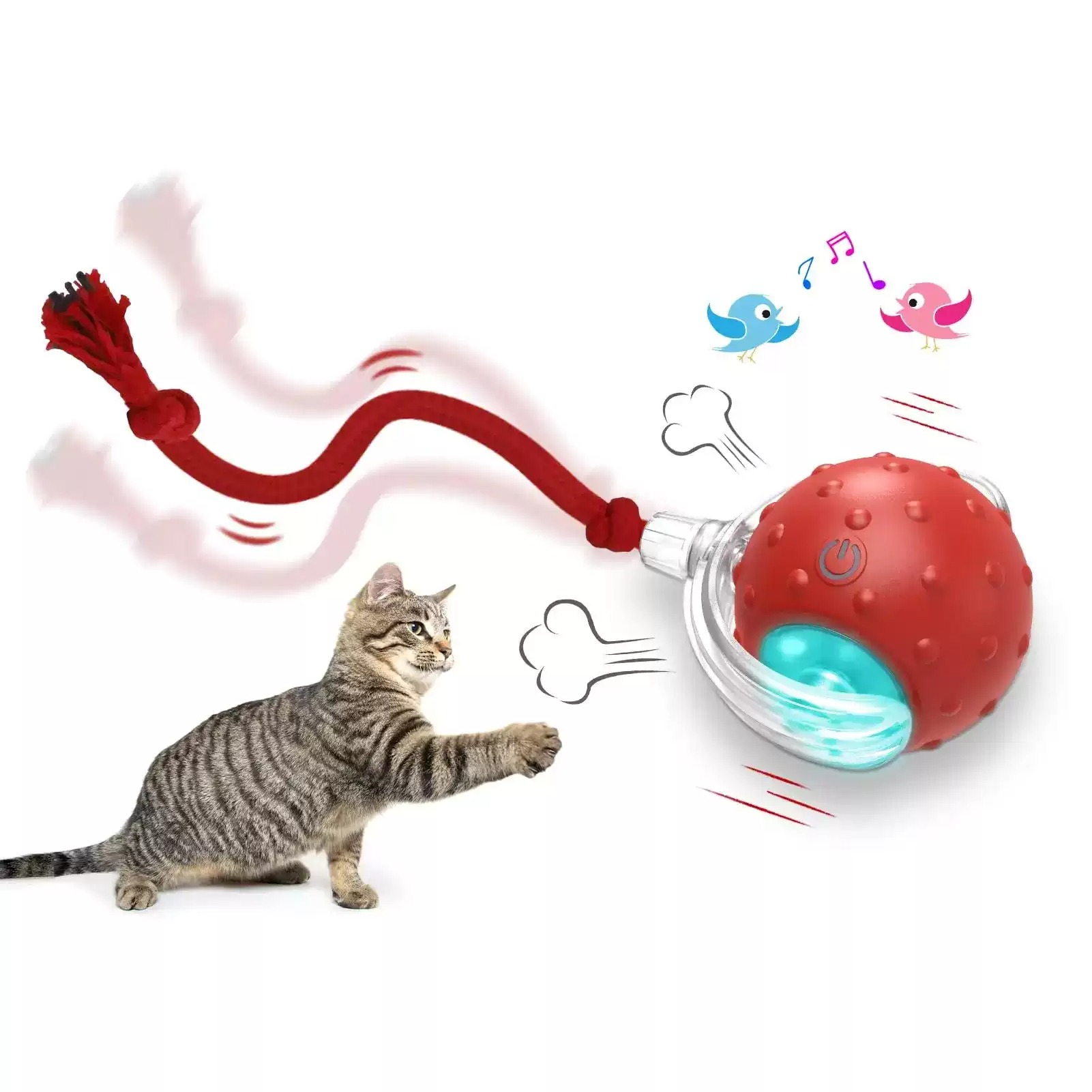 Chirpy Cat Play Ball