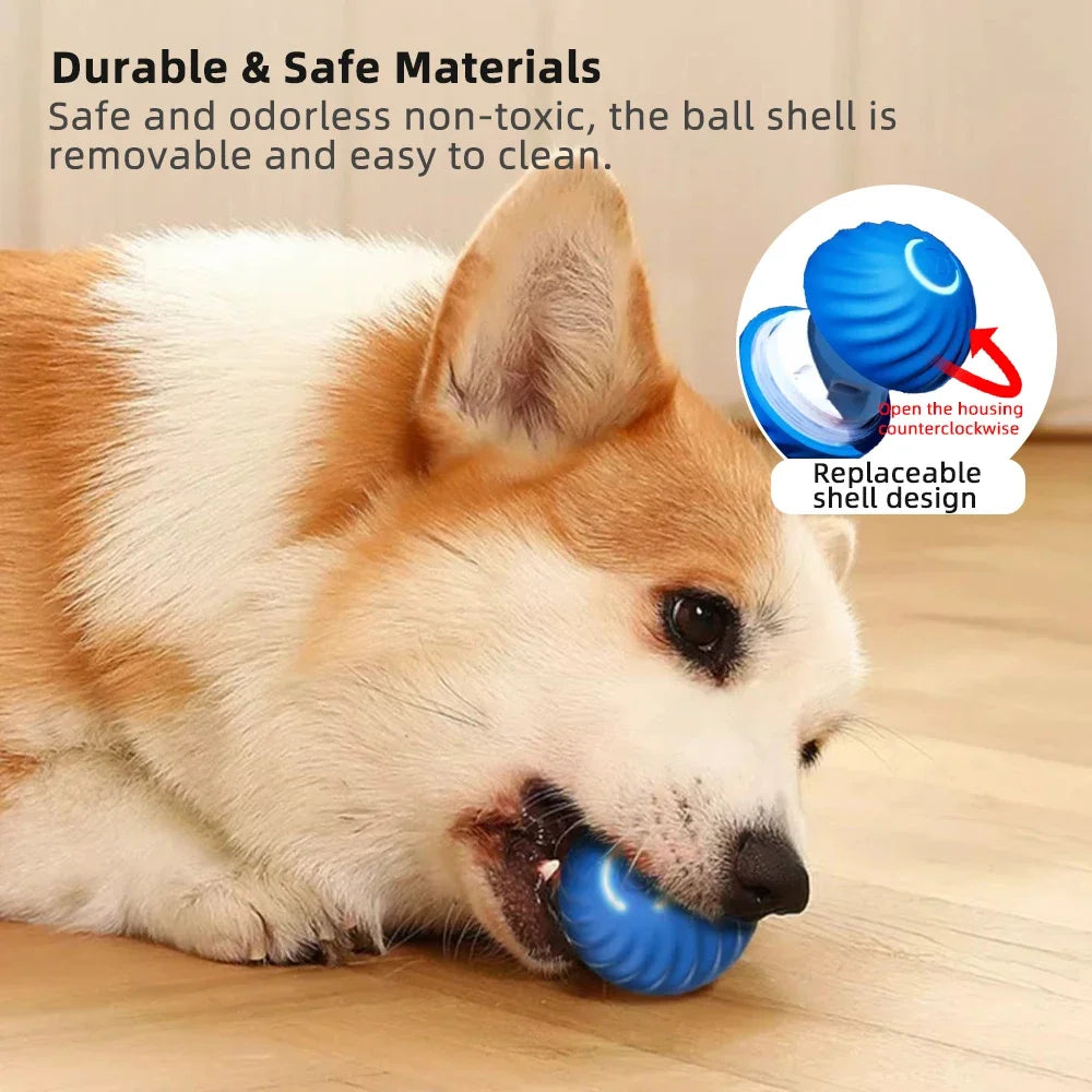 Buddy Bouncer Interactive Pet Ball