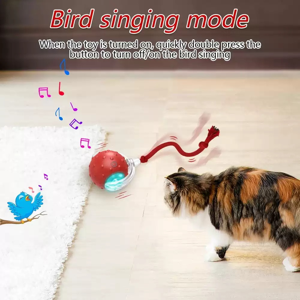 Chirpy Cat Play Ball