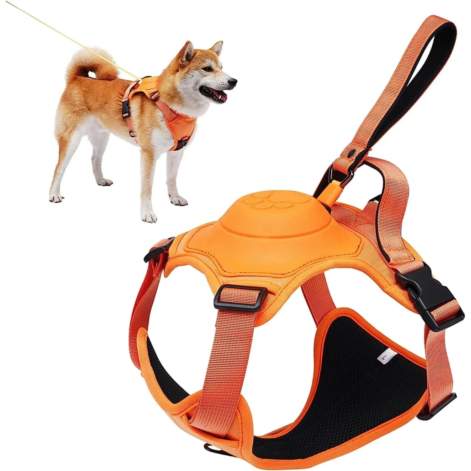 AllinOne Dog Harness Leash Set