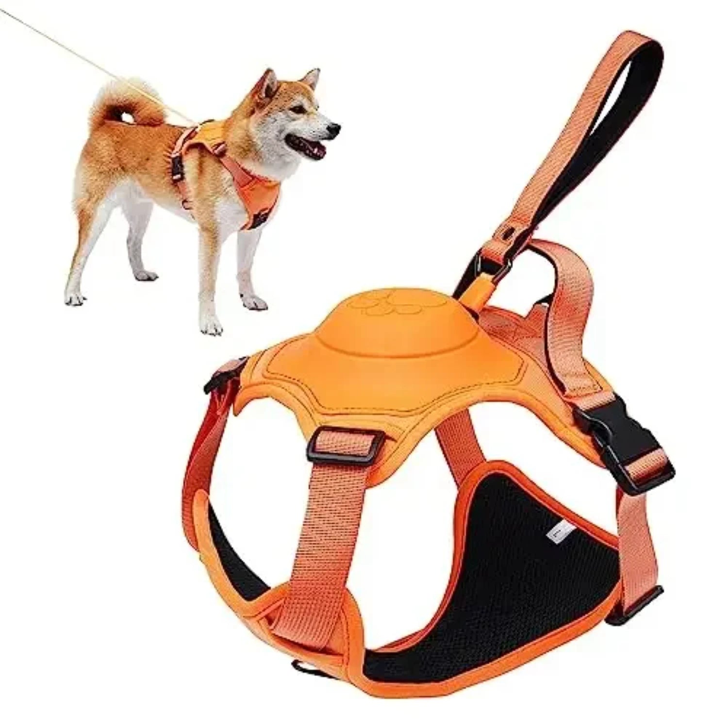 AllinOne Dog Harness Leash Set