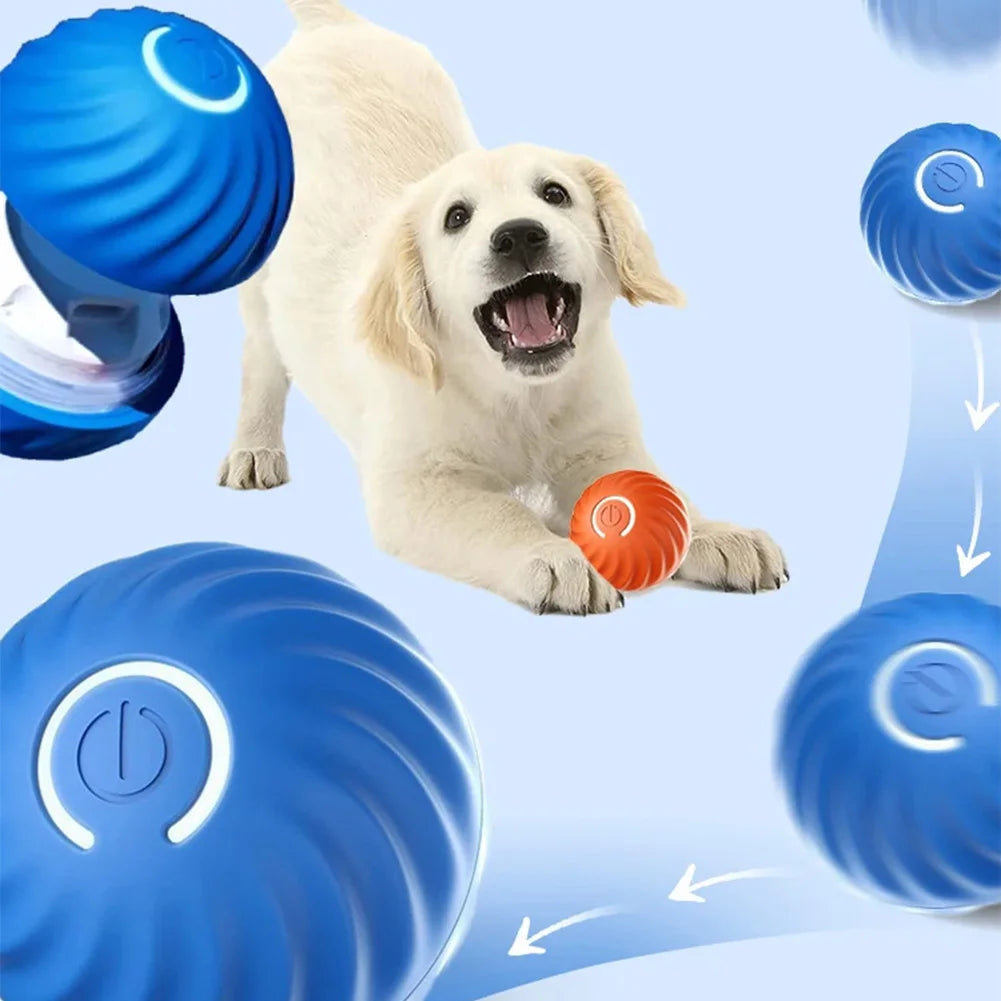 Buddy Bouncer Interactive Pet Ball