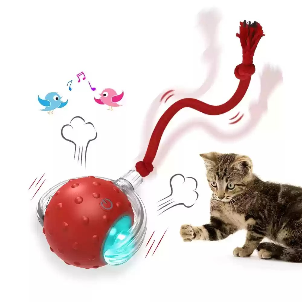 Playful pup interacting with the electronic snake toy