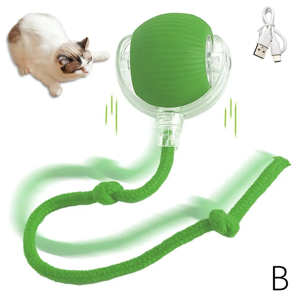 Cat pouncing on the interactive electronic snake toy