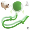 Cat pouncing on the interactive electronic snake toy