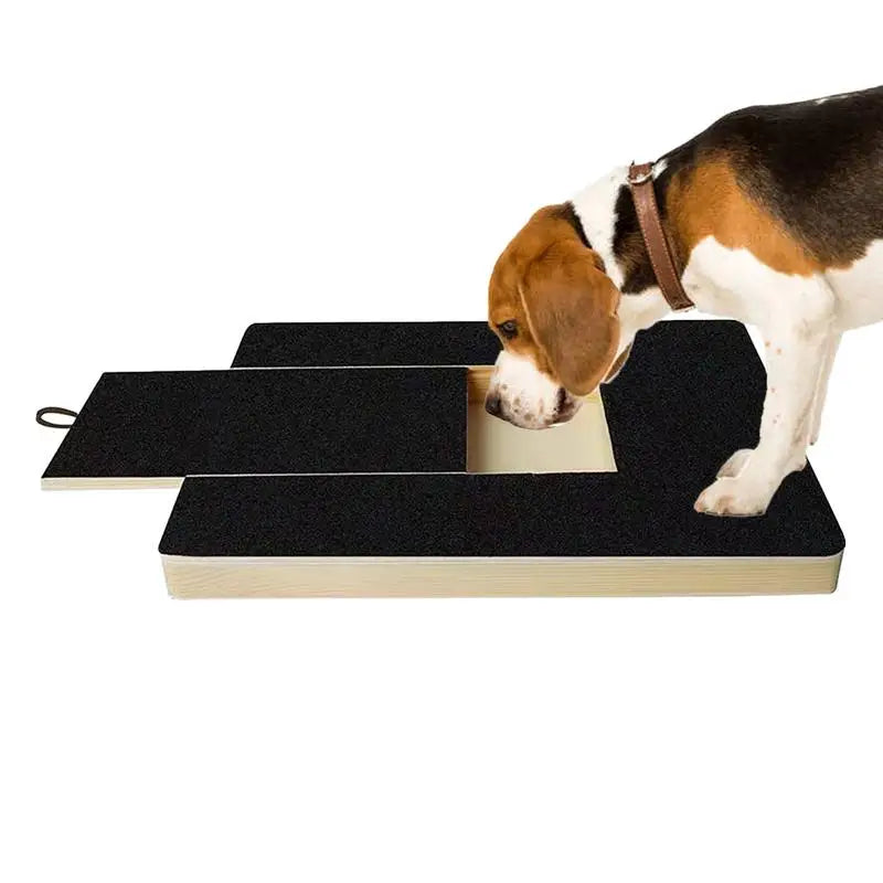 Dog actively using Pawfect nail trimming scratcher toy