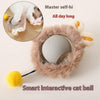Pet Energizer rolling ball entertaining pet 