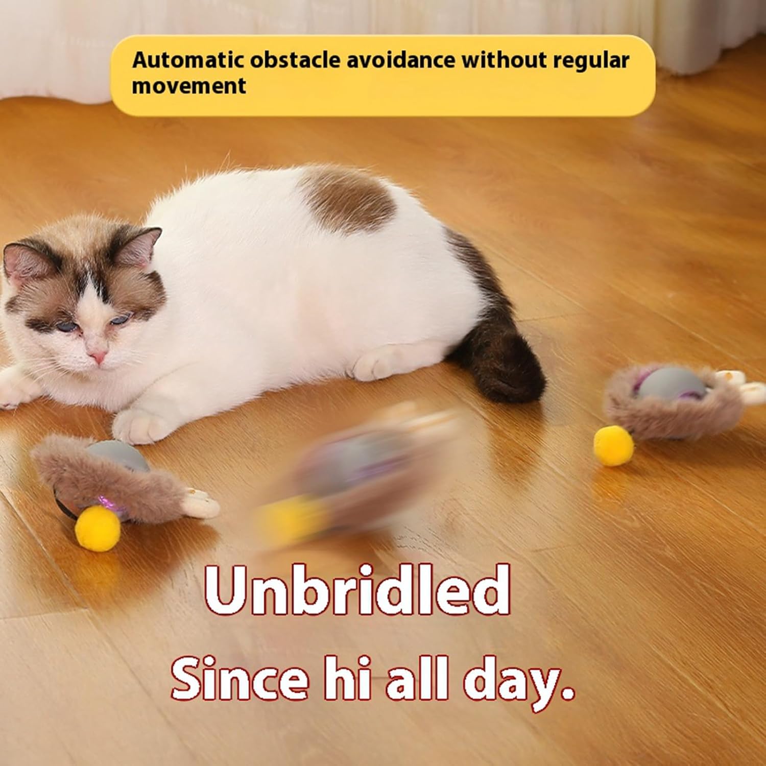Pet Energizer rolling ball moving on different floor surfaces