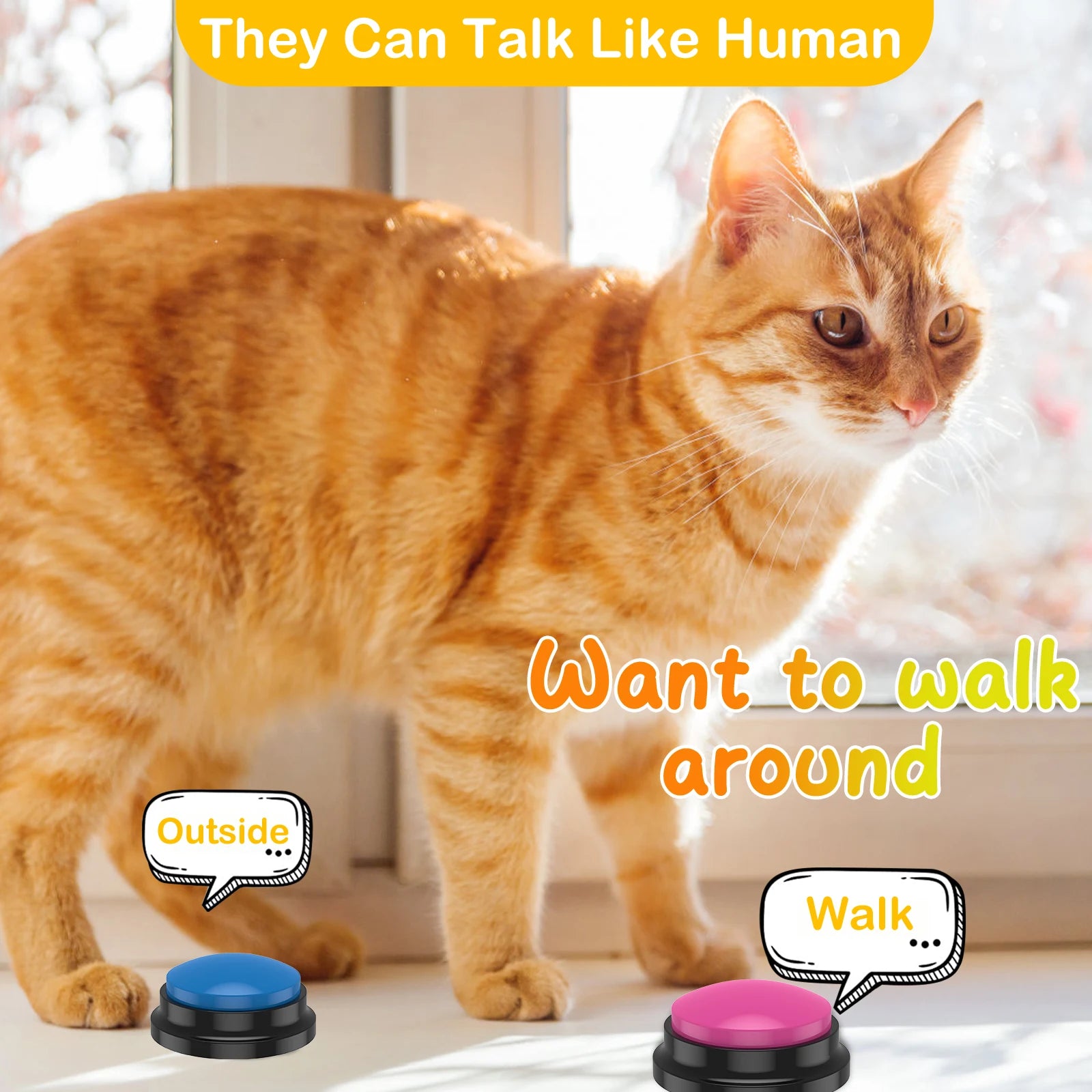 Cat interacting with a pet talk button for 'play