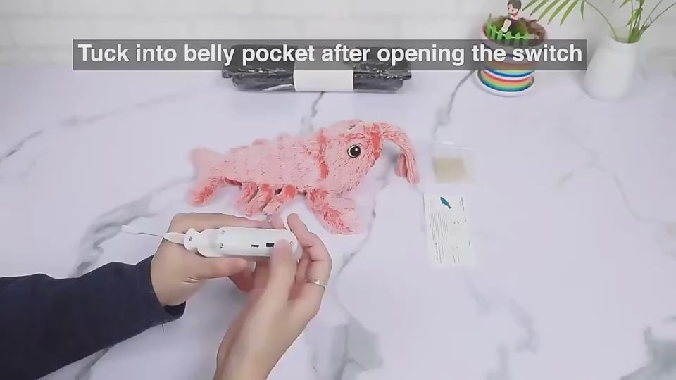 gift-ready-packaging- Entertaining Multiple Cats Simultaneously  