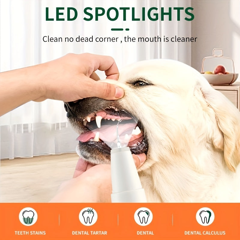 `Pet owner gently cleaning dog's teeth with ultrasonic device
